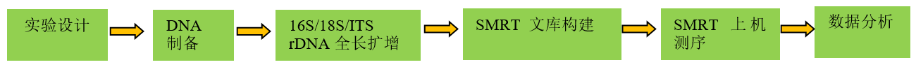 全長16S/18S/ITS擴增子測序技術(shù)流程