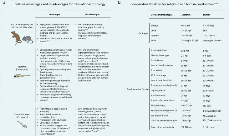 斑馬魚的轉(zhuǎn)化毒理學(xué)，關(guān)于斑馬魚的毒理試驗(yàn)